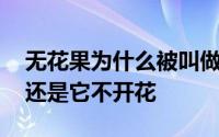 无花果为什么被叫做无花果 是看不见它的花还是它不开花