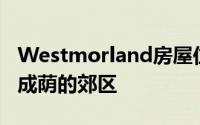 Westmorland房屋位于利物浦郊外一个绿树成荫的郊区