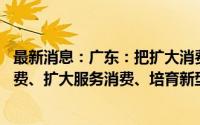 最新消息：广东：把扩大消费摆在优先位置 努力提振大宗消费、扩大服务消费、培育新型消费